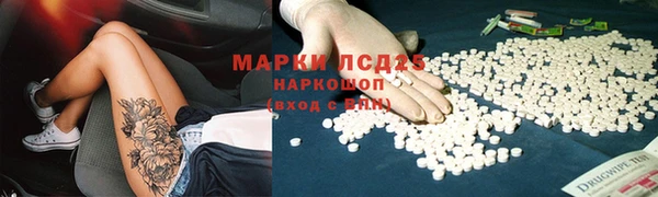 шишки Нея