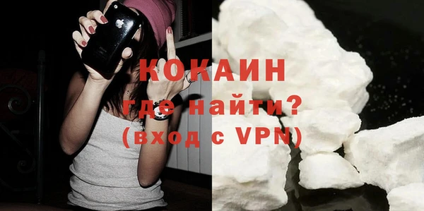 шишки Нея