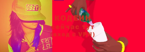 шишки Нея