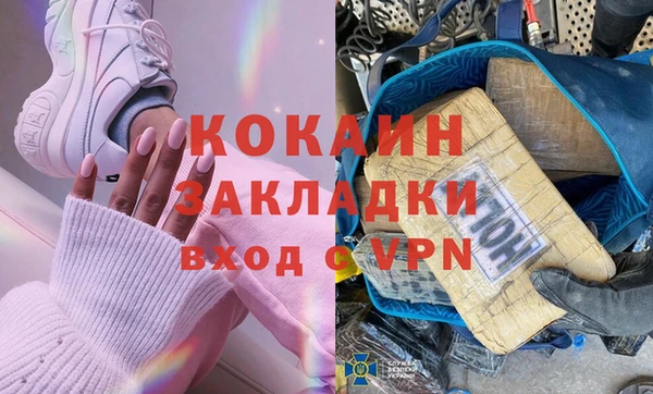 шишки Нея