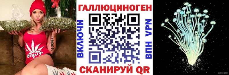 Галлюциногенные грибы Psilocybe  как найти закладки  Рошаль 